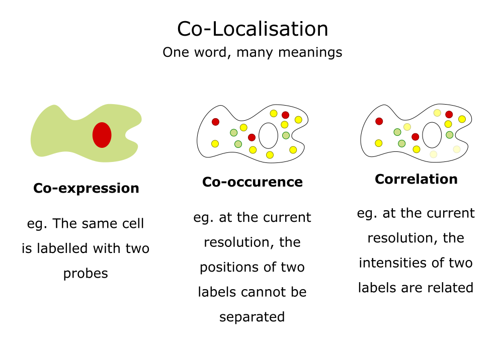 comparing co-expression, co-occurence and correlation