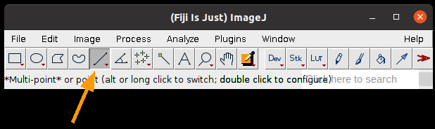 Fiji toolbar with line tool button highlighted, fifth tool from left
