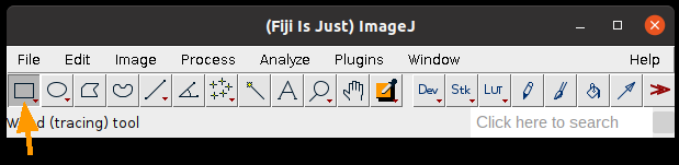 Fiji toolbar with rectangle tool button highlighted, first tool on left