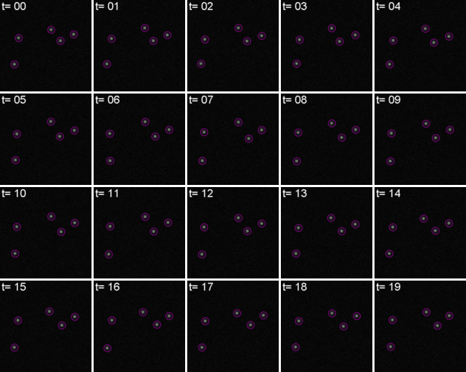 A series of image showing individual timepoints. The particles in each image are highlighted by purple circles in slightly different positions