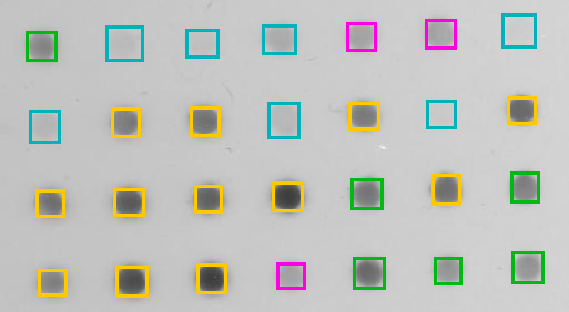 Dot Blot classified